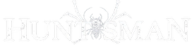 Huntsman Spider Game Play Online